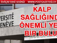 Kalp sağlığında önemli yeni bir buluş