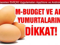 ZEHİRLİ YUMURTA SKANDALI İSVİÇRE’YE ULAŞTI