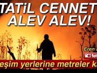 Bodrum'da alevler yerleşim yerlerine yaklaştı