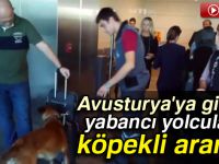 Avusturyalılara kısasa kısas