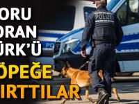 Alman polis, soru soran Türk'ü köpeğine ısırttı