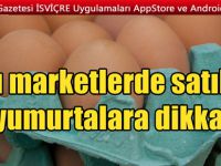 Yumurtalarda yine zehirli bakteri alarmı