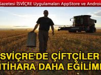 İsviçre'de çiftçiler intihara daha eğilimli