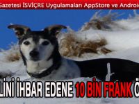 KATİLİ İHBAR EDENE 10 BİN FRANK ÖDÜL VAR