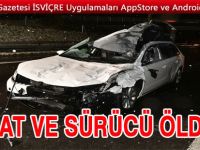 Otomobil 2 ata çarptı: Sürücü öldü, atlar telef oldu