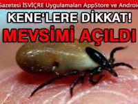 İsviçre’de KENE mevsimi başladı