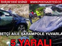 Gurbetçi aile şarampole yuvarlandı: 5 yaralı
