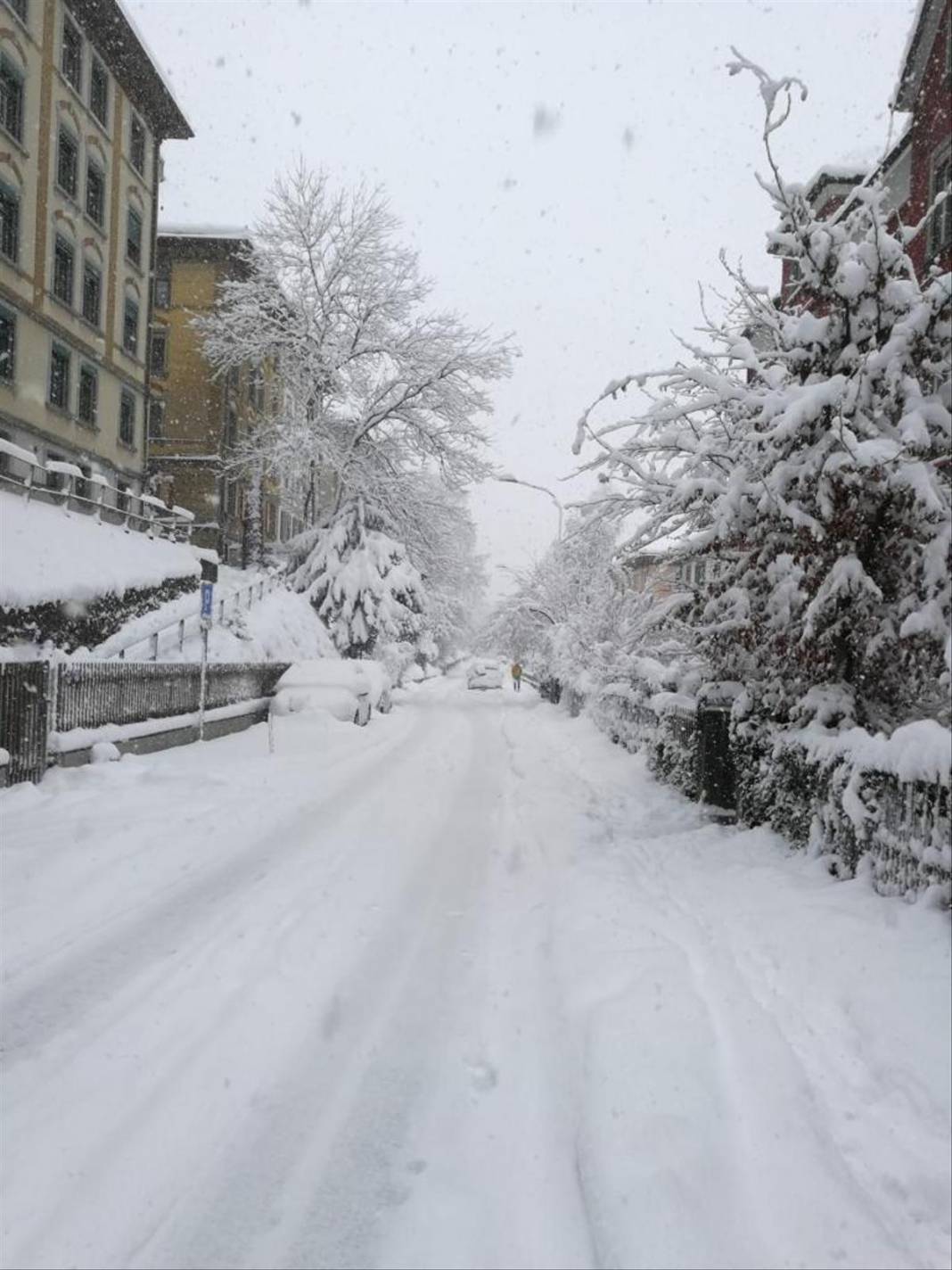 İSVİÇRE'DEN KAR MANZARALARI 13