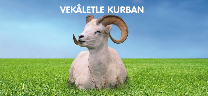 VEKÂLETLE KURBAN